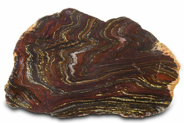 Polished Tiger Iron Stromatolite Slab - Billion Years #317890